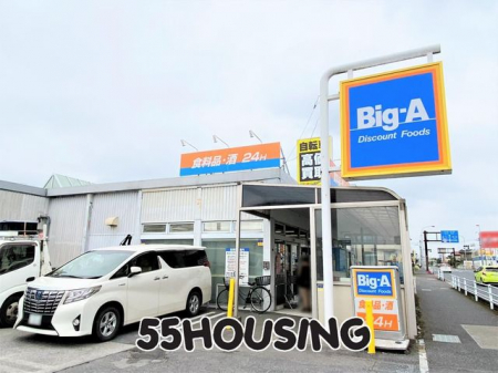 ӊ@Big-AːnX k16B 1230m