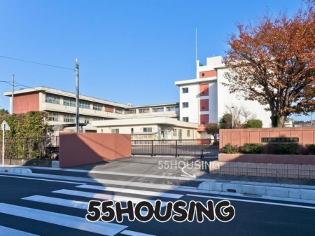 ӊ@swZ k9B 700m