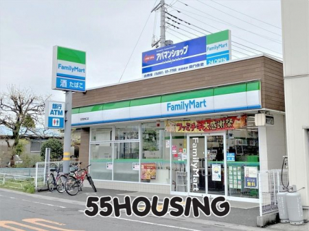 ӊ@t@~[}[gwX k9B 700m