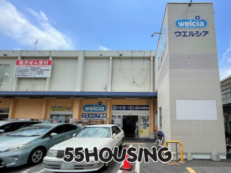 ���ӊ��@�E�G���V�A�t�����L�t�X �k��7���B 519m