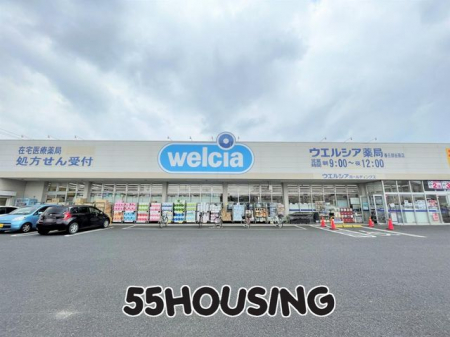 ���ӊ��@�E�G���V�A�t�����J���X �k��9���B 700m