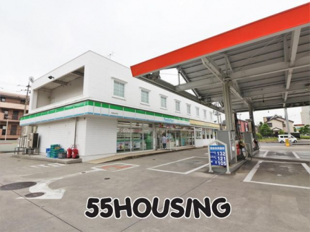 ӊ@t@~[}[g{ؒX k4B 300m