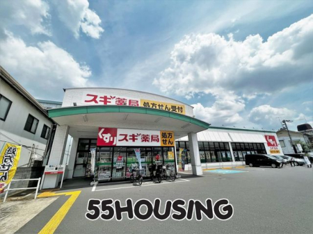 ӊ@XMǐLX k9B 700m