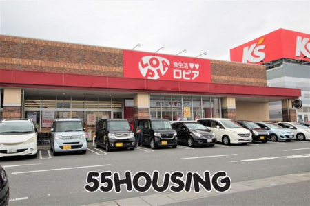 ӊ@sAҊtHIX k10B 753m