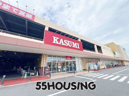 ӊ@JX~t[hXNGAOX k6B 462m