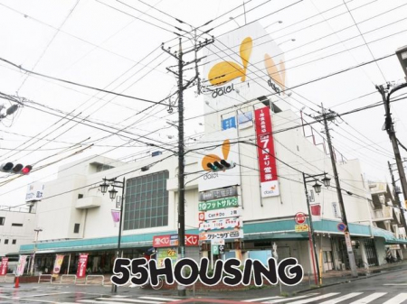 ���ӊ��@�_�C�G�[���Y�a�X �k��3���B 230m