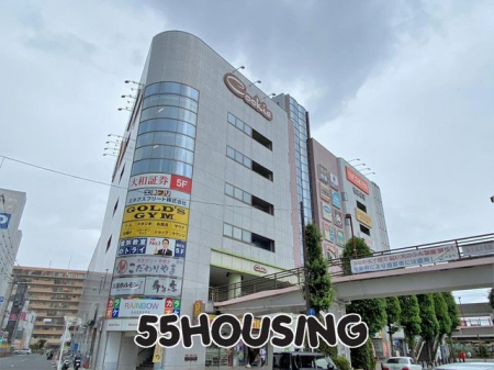 ���ӊ��@�N�b�L�[�v���U �k��16���B 1240m