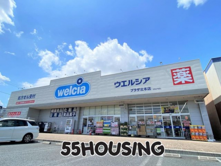 ���ӊ��@�E�G���V�A�v���U�k�{�X �k��7���B 483m