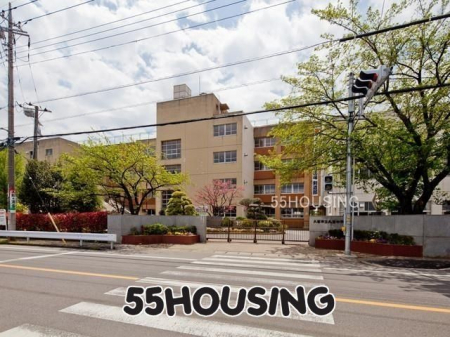 ӊ@vsv쒆wZ k12B 960m