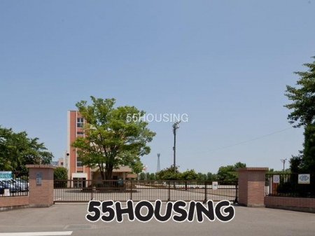 ӊ@s쏬wZ k4B 290m