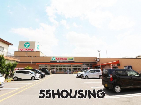 ���ӊ��@TAIRAYA�Y�a�h�a�X �k��9���B 710m