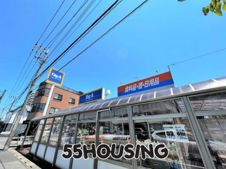 ���ӊ��@�r�b�O�E�G�[������s�X �k��4���B 260m