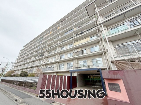 �G���g�����X�@-