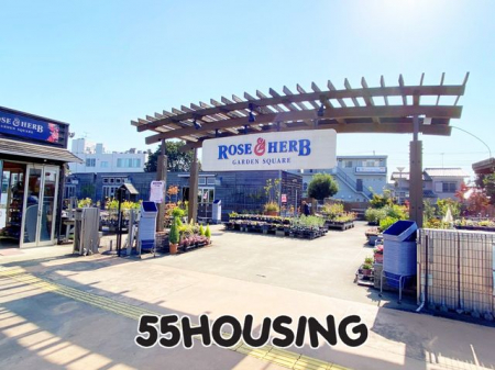 ���ӊ��@DCM�z�[�}�b�N���[�[���n�[�u����X �k��11���B 870m