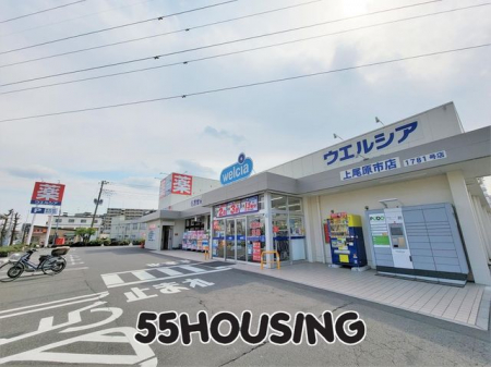 ���ӊ��@�E�G���V�A������s�X �k��17���B 1290m