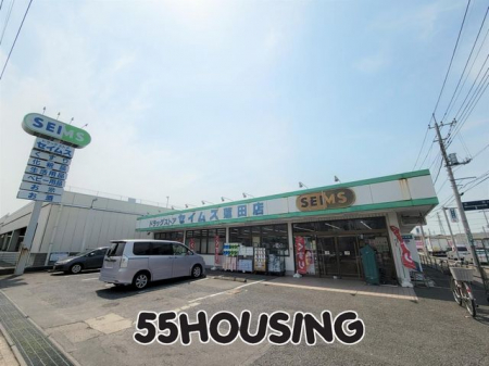 ���ӊ��@�h���b�O�Z�C���X�@�c�X �k��8���B 613m