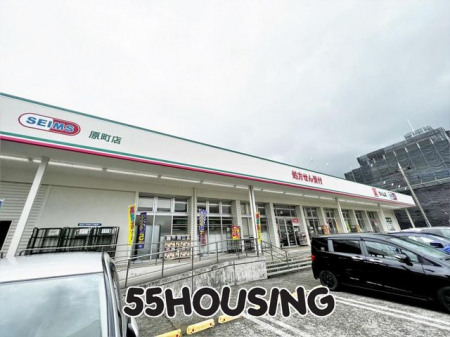 ���ӊ��@�h���b�O�Z�C���X�����X �k��10���B 730m