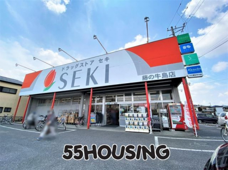 ���ӊ��@�h���b�O�X�g�A�Z�L���̋����X �k��15���B 1133m