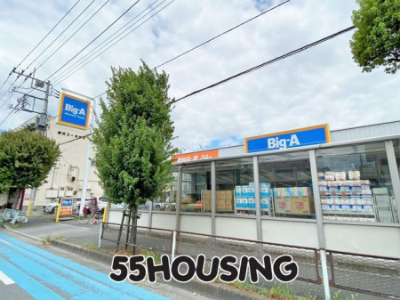 ���ӊ��@Big-A����ΓX �k��11���B 870m