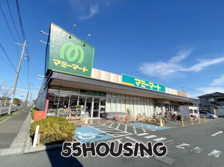 ���ӊ��@�}�~�[�}�[�g�����c�X �k��9���B 650m