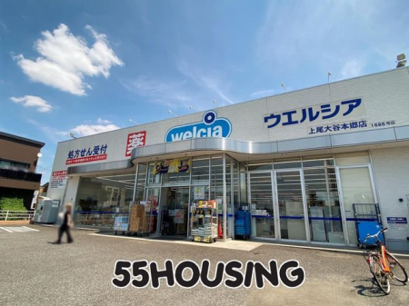 ���ӊ��@�E�G���V�A�����J�{���X �k��4���B 250m
