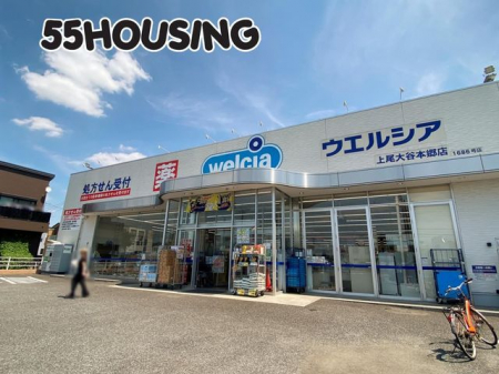 ���ӊ��@�E�G���V�A�����J�{���X �k��7���B 550m