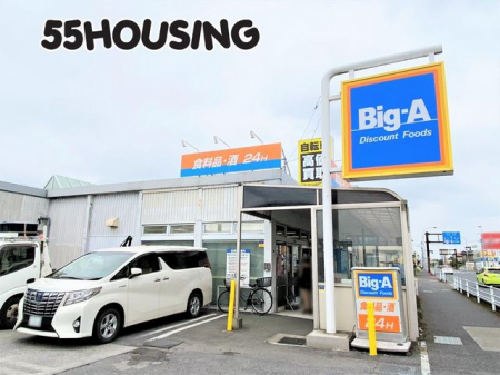 ���ӊ��@Big-A���ː��n�X �k��9���B 662m