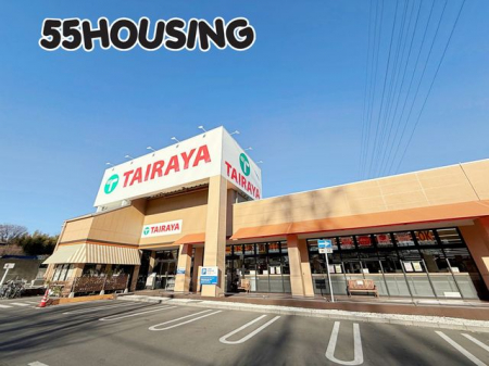 ���ӊ��@TAIRAYA�{�������X �k��9���B 660m